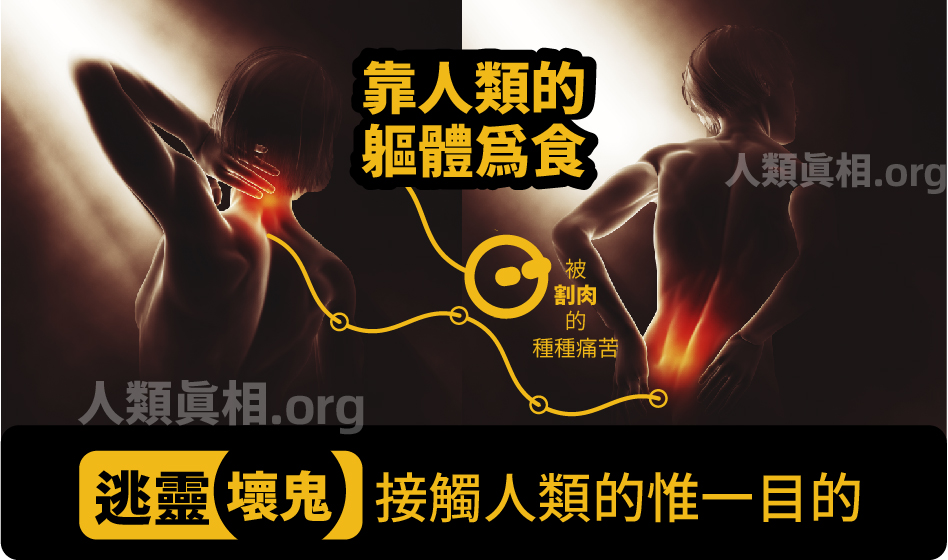 破解通靈機密(二)-圖片3