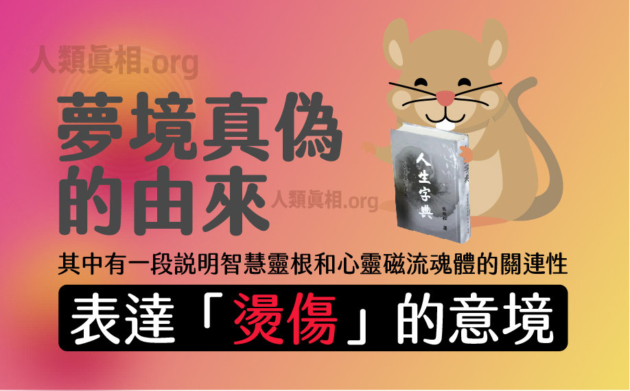 安樂死為什麼算自殺?-圖片4